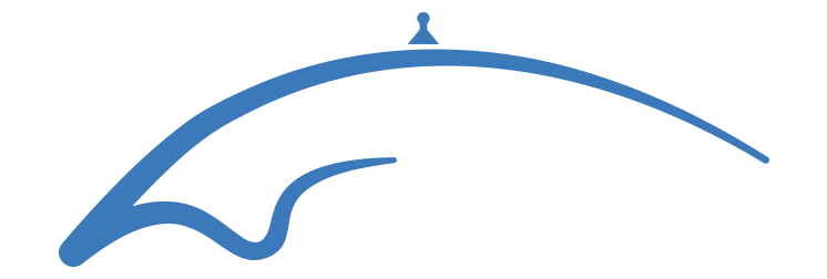 Şirket Logosu
